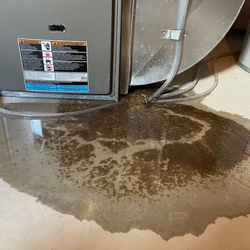 Appliance Leak Cleanup in Dixmoor, IL